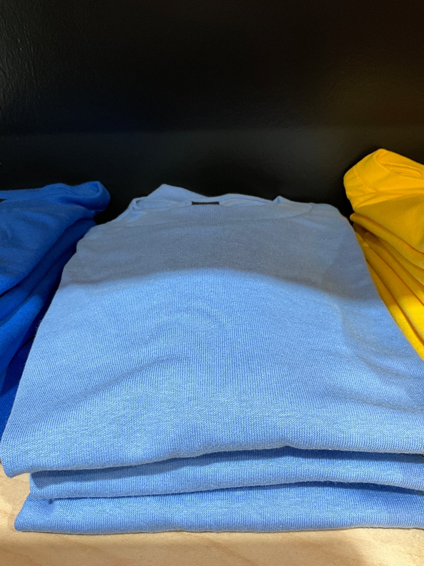 Adult Carolina Blue T-shirt